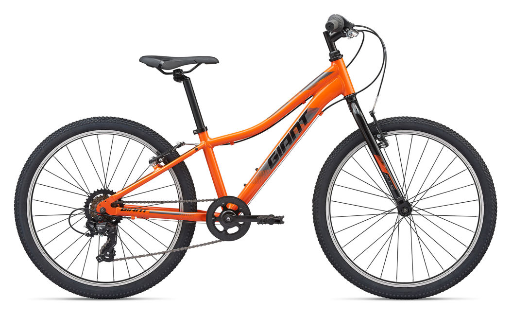Велосипед Giant XtC Jr 24 Lite (2020)